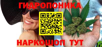 дмт Свободный
