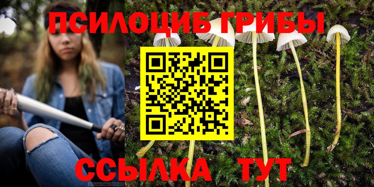 Галлюциногенные грибы мицелий  Вход с VPN  Одинцово 